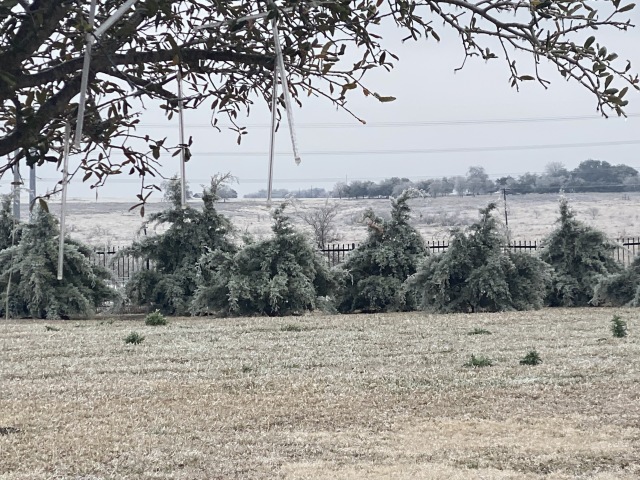 2021/02(February)/Snow-Storm-2-Texas/640x480_2021-02-12-Texas-Ice-Storm-04.JPG