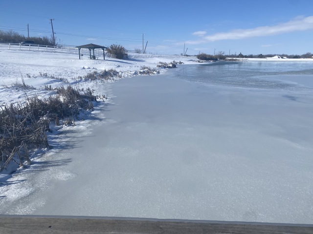 2021-02-15-Texas-Ice-Storm-38-Pond-Frozen.JPG