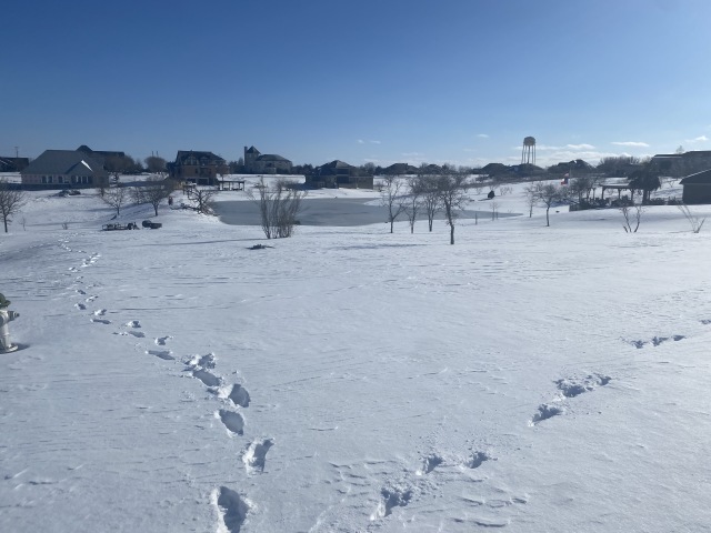 2021-02-15-Texas-Ice-Storm-59.JPG