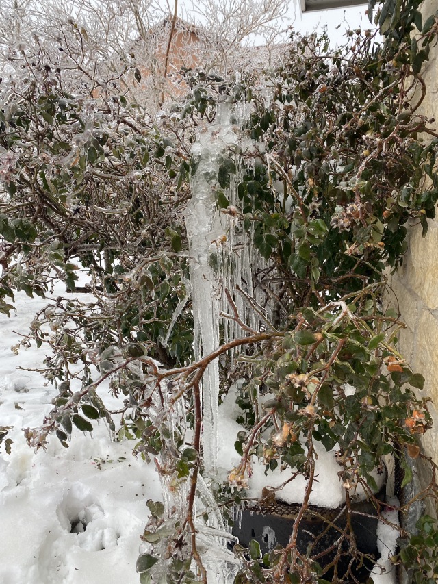 2021-02-17-Texas-Ice-Storm-04.JPG