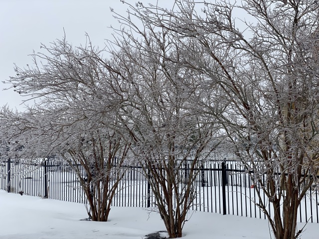 2021-02-17-Texas-Ice-Storm-05.JPG