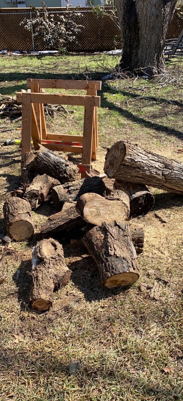 2021-02-27--Texas-Ice-Storm-2-Travis-Cutting-wood-with-Chainsaw.JPG