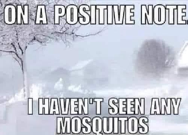 2021/02(February)/Snow-Storm-2-Texas/640x480_2021-02-27-Meme-06-mosquitos.JPG