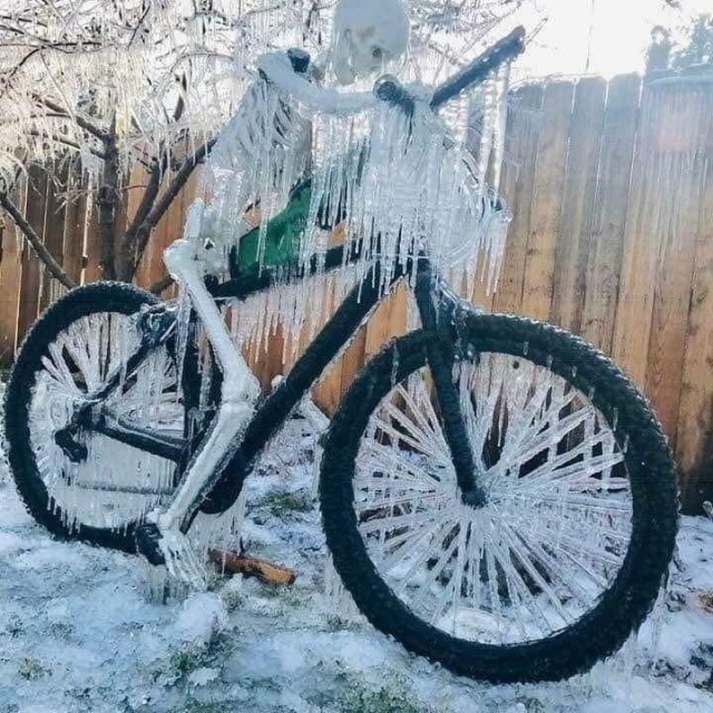 2021-02-27-Meme-19-frozen-bicycle-skelton.JPG