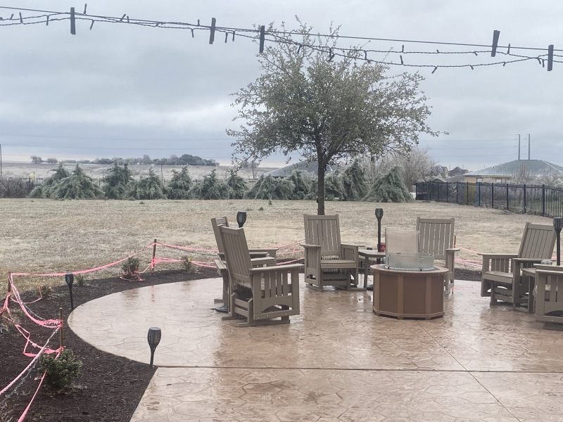2021/02(February)/Snow-Storm-2-Texas/800x600_2021-02-11-Texas-Ice-Storm-02.JPG