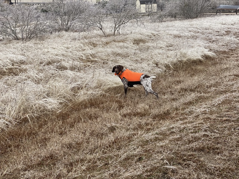 2021-02-12-Texas-Ice-Storm-06-Blaze.JPG