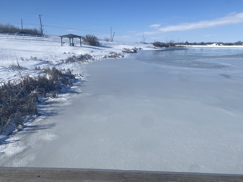 2021/02(February)/Snow-Storm-2-Texas/800x600_2021-02-15-Texas-Ice-Storm-38-Pond-Frozen.JPG