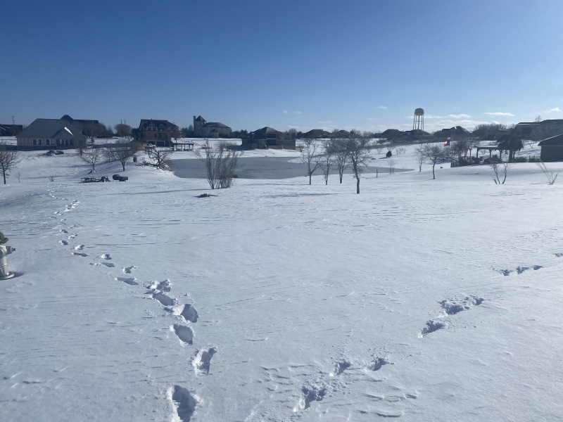 2021/02(February)/Snow-Storm-2-Texas/800x600_2021-02-15-Texas-Ice-Storm-59.JPG