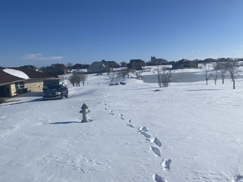2021/02(February)/Snow-Storm-2-Texas/800x600_2021-02-15-Texas-Ice-Storm-60.JPG