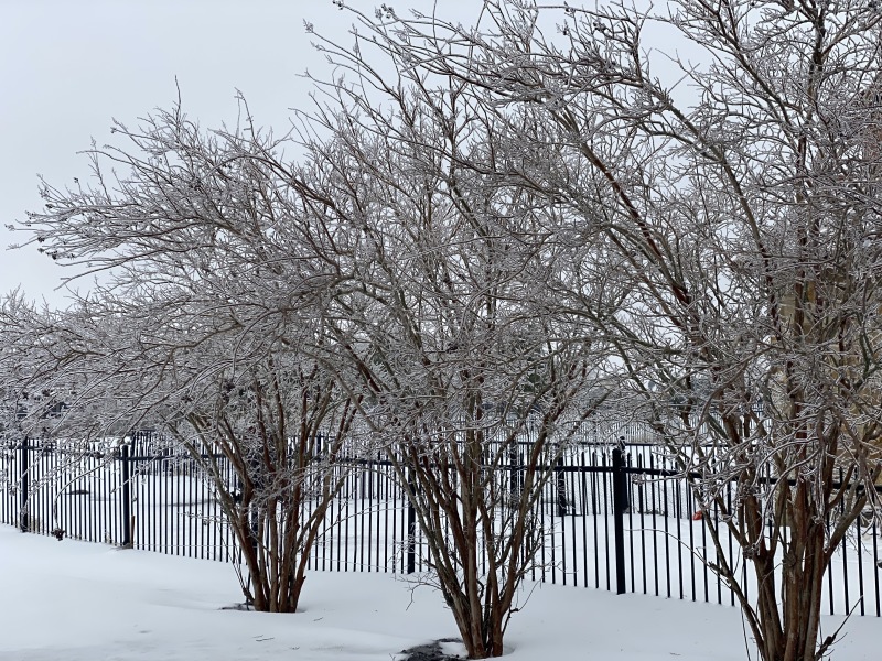 2021/02(February)/Snow-Storm-2-Texas/800x600_2021-02-17-Texas-Ice-Storm-05.JPG