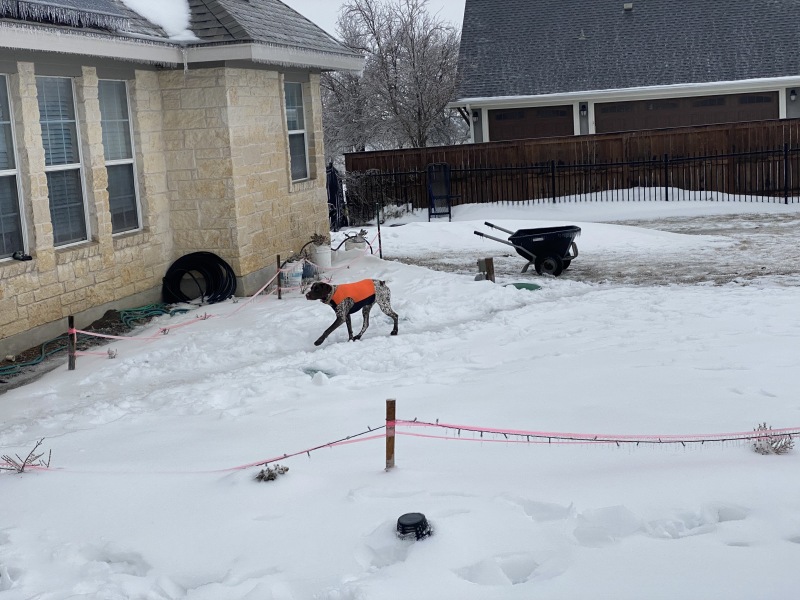 2021-02-17-Texas-Ice-Storm-09-Blaze.JPG
