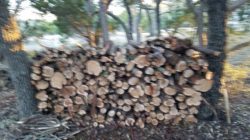 2021-02-27--Texas-Ice-Storm-3-Travis-Cutting-wood-with-Chainsaw.JPG