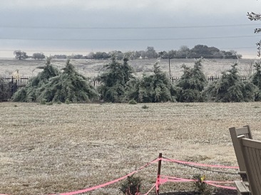 2021-02-11-Texas-Ice-Storm-01.JPG
