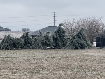 2021-02-12-Texas-Ice-Storm-03.JPG