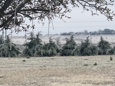 2021-02-12-Texas-Ice-Storm-04.JPG