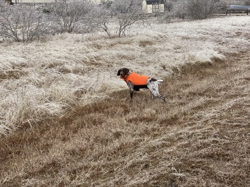 2021-02-12-Texas-Ice-Storm-06-Blaze.JPG