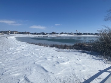 2021-02-15-Texas-Ice-Storm-26.JPG