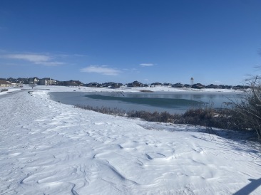 2021-02-15-Texas-Ice-Storm-27.JPG