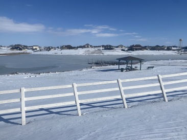 2021-02-15-Texas-Ice-Storm-32-Pond-Frozen.JPG