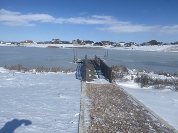 2021-02-15-Texas-Ice-Storm-33-Pond-Frozen.JPG