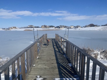 2021-02-15-Texas-Ice-Storm-34-Pond-Frozen.JPG