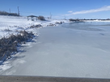 2021-02-15-Texas-Ice-Storm-38-Pond-Frozen.JPG