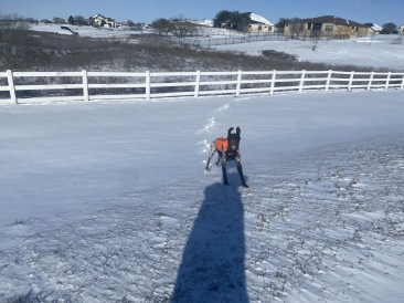2021-02-15-Texas-Ice-Storm-46-Blaze.JPG