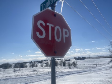 2021-02-15-Texas-Ice-Storm-51-frozen-stop-sign.JPG