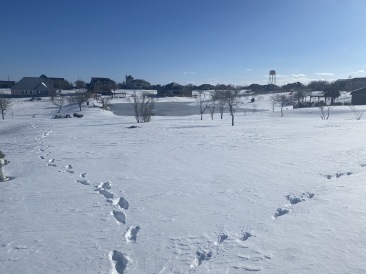 2021-02-15-Texas-Ice-Storm-59.JPG