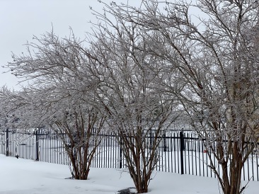 2021-02-17-Texas-Ice-Storm-05.JPG