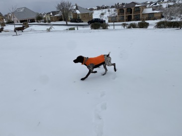 2021-02-18-Texas-Ice-Storm-12-Blaze.JPG