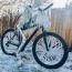 2021-02-27-Meme-19-frozen-bicycle-skelton.JPG