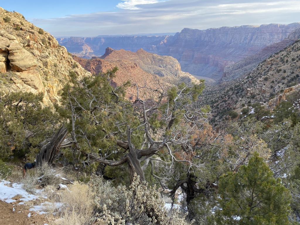 2021-03-15-Grand-Canyon-23.JPG
