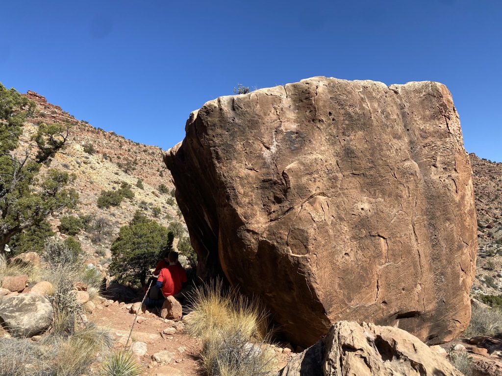 2021-03-15-Grand-Canyon-37--What-Three-Words-for-The-Rock-cabin-bras-reacts.JPG