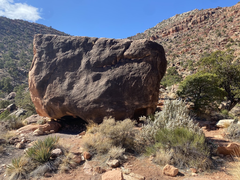2021-03-15-Grand-Canyon-38--What-Three-Words-for-The-Rock-cabin-bras-reacts.JPG