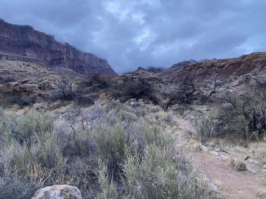 2021-03-16-Grand-Canyon-01.JPG