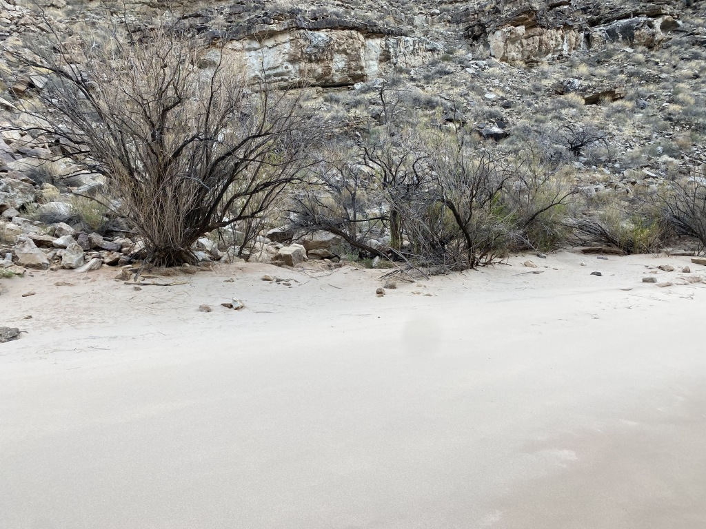 2021-03-16-Grand-Canyon-47.JPG