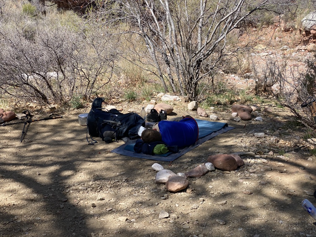 2021-03-18-Grand-Canyon-21-Truman-napping.JPG