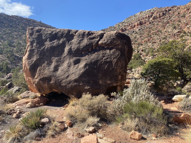 2021-03-15-Grand-Canyon-38--What-Three-Words-for-The-Rock-cabin-bras-reacts.JPG