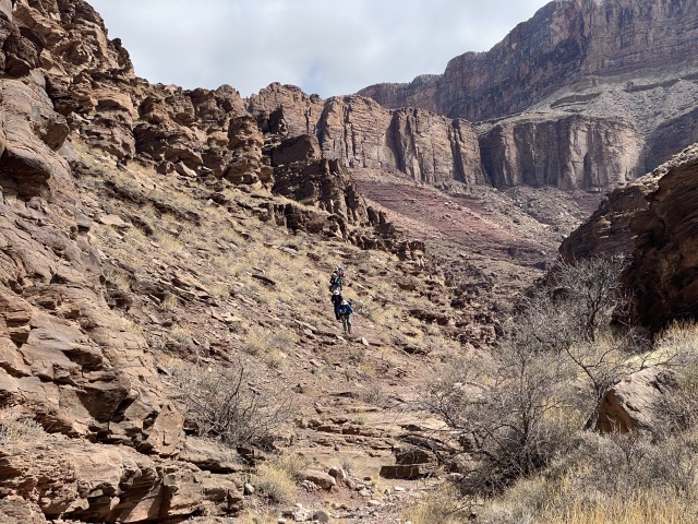 2021-03-16-Grand-Canyon-30.JPG