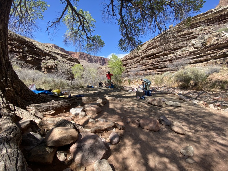 2021-03-18-Grand-Canyon-23-Campsite-4-What-Three-Words-cobwebs-jigsaw-players.JPG