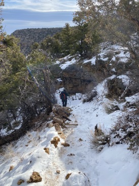 2021-03-15-Grand-Canyon-19-MarkDonnell.JPG