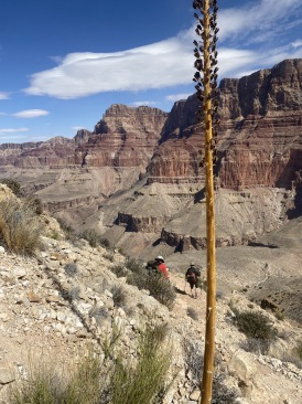 2021-03-15-Grand-Canyon-48-Rusty-MarkDonnell.JPG