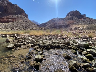 2021-03-17-Grand-Canyon-44.JPG