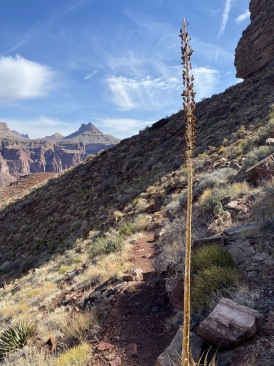 2021-03-18-Grand-Canyon-11.JPG