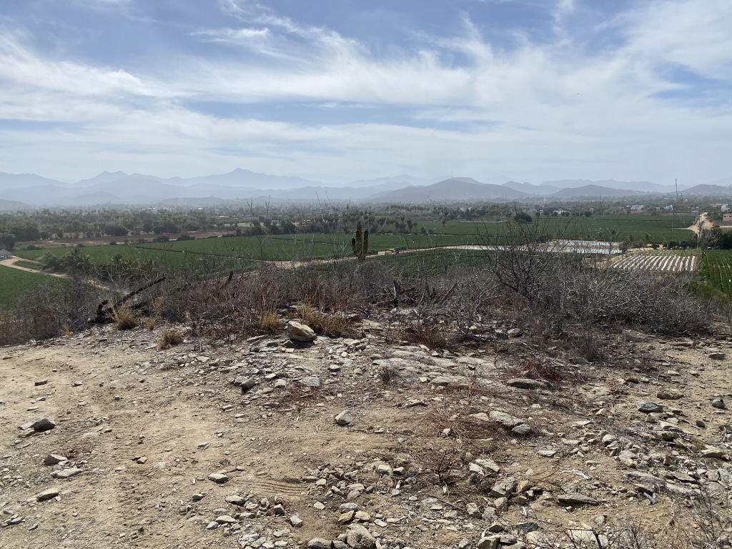 2021-04-11-Los-Cabos-Cubos-MX-03.JPG