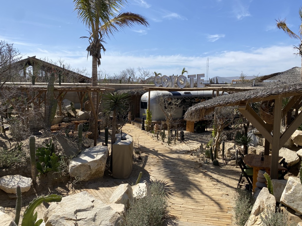 2021-04-11-Los-Cabos-Cubos-MX-25-Coyote-Canyon.JPG