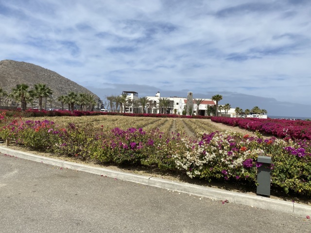 2021/04(April)/Los-Cubos/640x480_2021-04-11-Los-Cabos-Cubos-MX-11.JPG