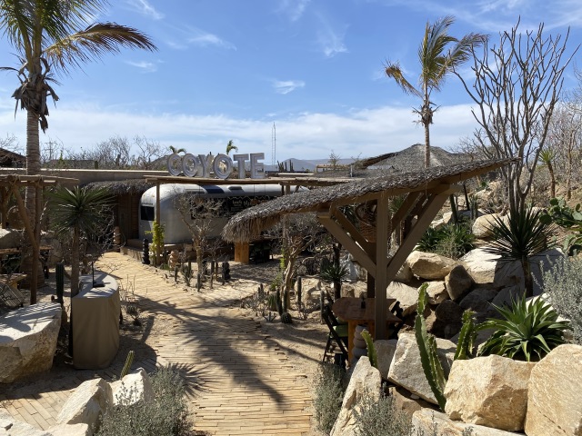 2021-04-11-Los-Cabos-Cubos-MX-26-Coyote-Canyon.JPG