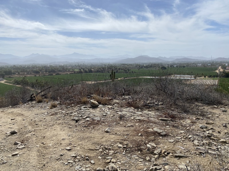 2021-04-11-Los-Cabos-Cubos-MX-03.JPG